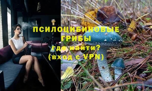 apvp Тольятти